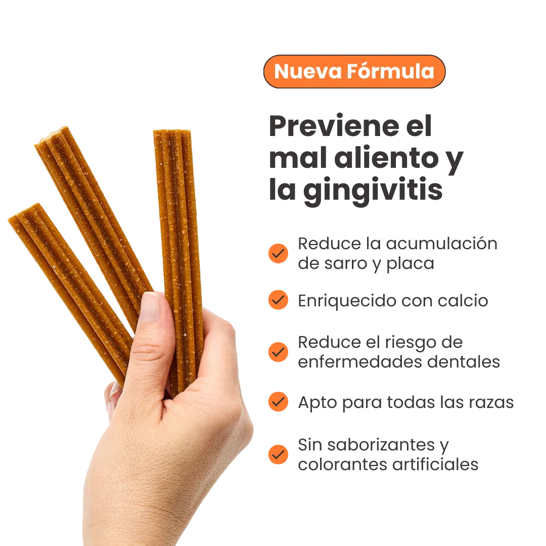 Snack Dent Star para la placa y el sarro Kanu Pet Sabor a Menta para Perro
