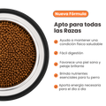 Alimento Seco Bark Original Pollo Kanu Pet para Perros Adulto todas las Razas