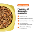 Alimento Congelado Nativo Fresh sabor a Pollo y Lentejas Kanu Pet para Perros. 100% Comida Real