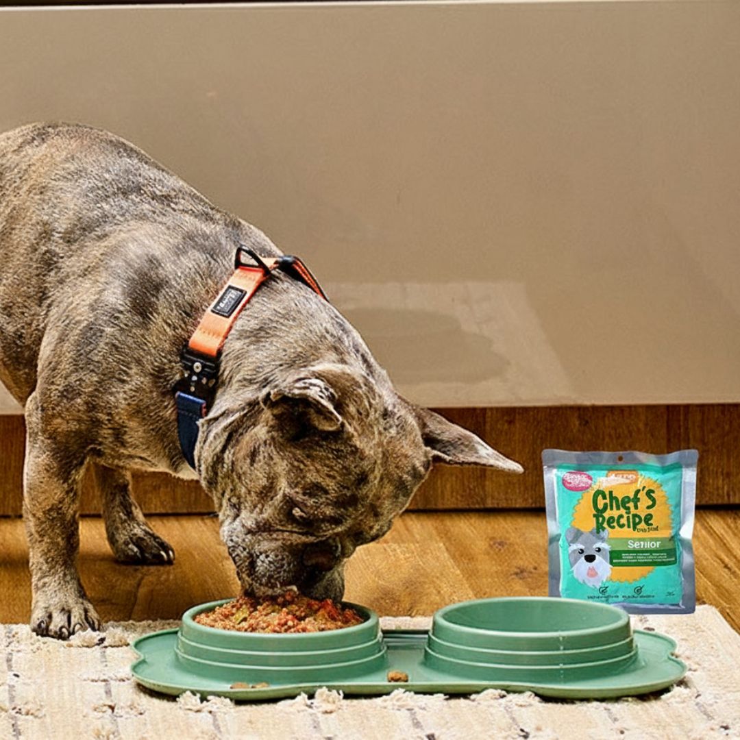 Combo Support Kanu Pet para Perros Seniors-Kanu pet