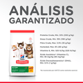 Alimento para gato Hills Felino Kitten Development