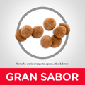 Alimento para gato Hills Felino Kitten Development