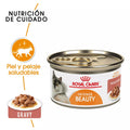 Alimento para gato Royal canin lata Beauty