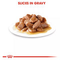 Alimento para gato Royal canin lata Beauty