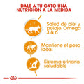 Alimento para gato Royal canin lata Beauty