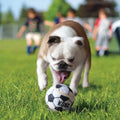 Juguete Kong Pelota Sport Para Perro XS