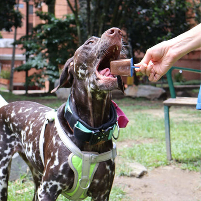 Natupop Paletas de Proteína Cárnica Pollo y Zanahoria para Perros