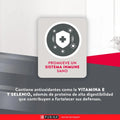 Alimento Para Perro Excellent Adult Small Breed