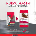 Alimento Para Perro Excellent Adult Chicken Rice
