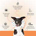 Collar Dona Isabelina Puntos de Colores Kanu Vet Para Perro y Gato