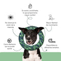 Collar Dona Isabelina Camuflado Verde Kanu Vet Para Perro y Gato