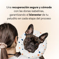 Collar Dona Isabelina Puntos de Colores Kanu Vet Para Perro y Gato