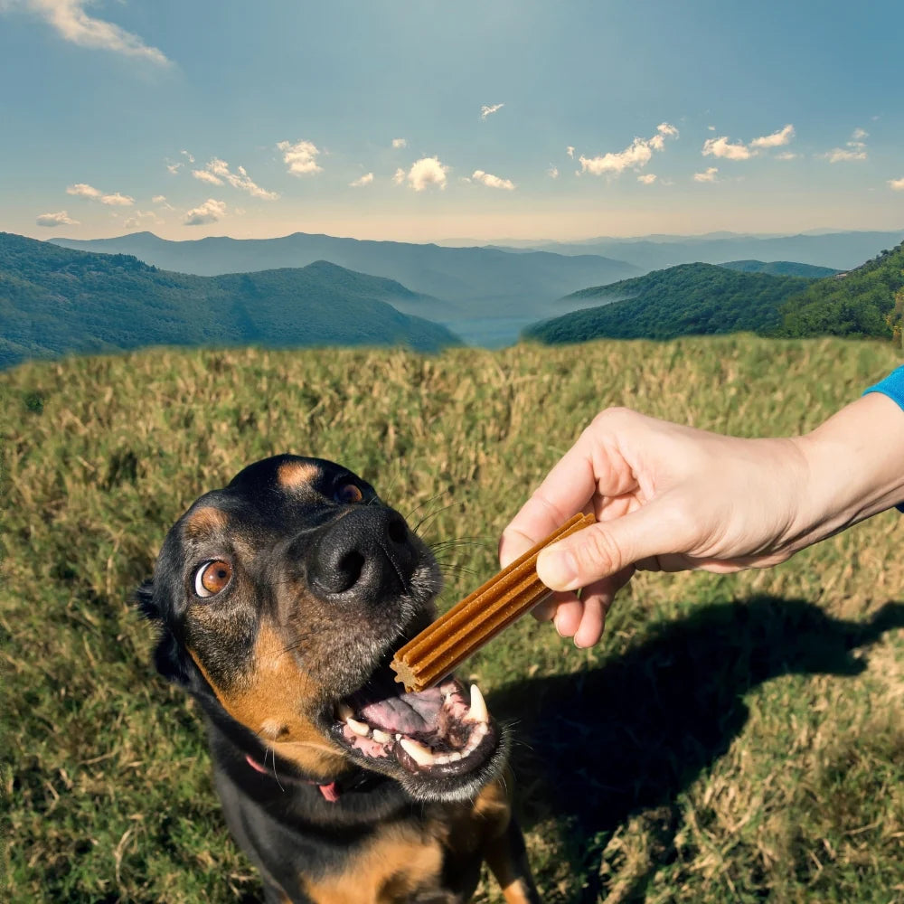 Snack para la placa y el sarro Kanu Pet Dent Star Sabor a Menta para Perro x 3 Unds