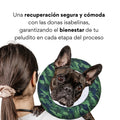 Collar Dona Isabelina Camuflado Verde Kanu Vet Para Perro y Gato