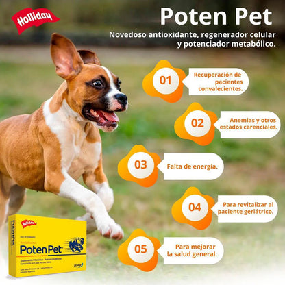 Biomodulador Poten Pet Perros Y Gatos