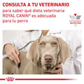 Alimento para perro Royal canin Lata Hepatic