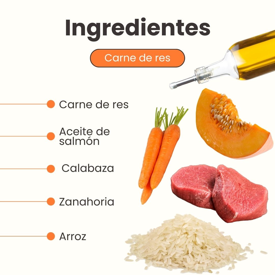 Alimento Completo Húmedo Chef's Recipe Carne de Res Kanu Pet para Perros