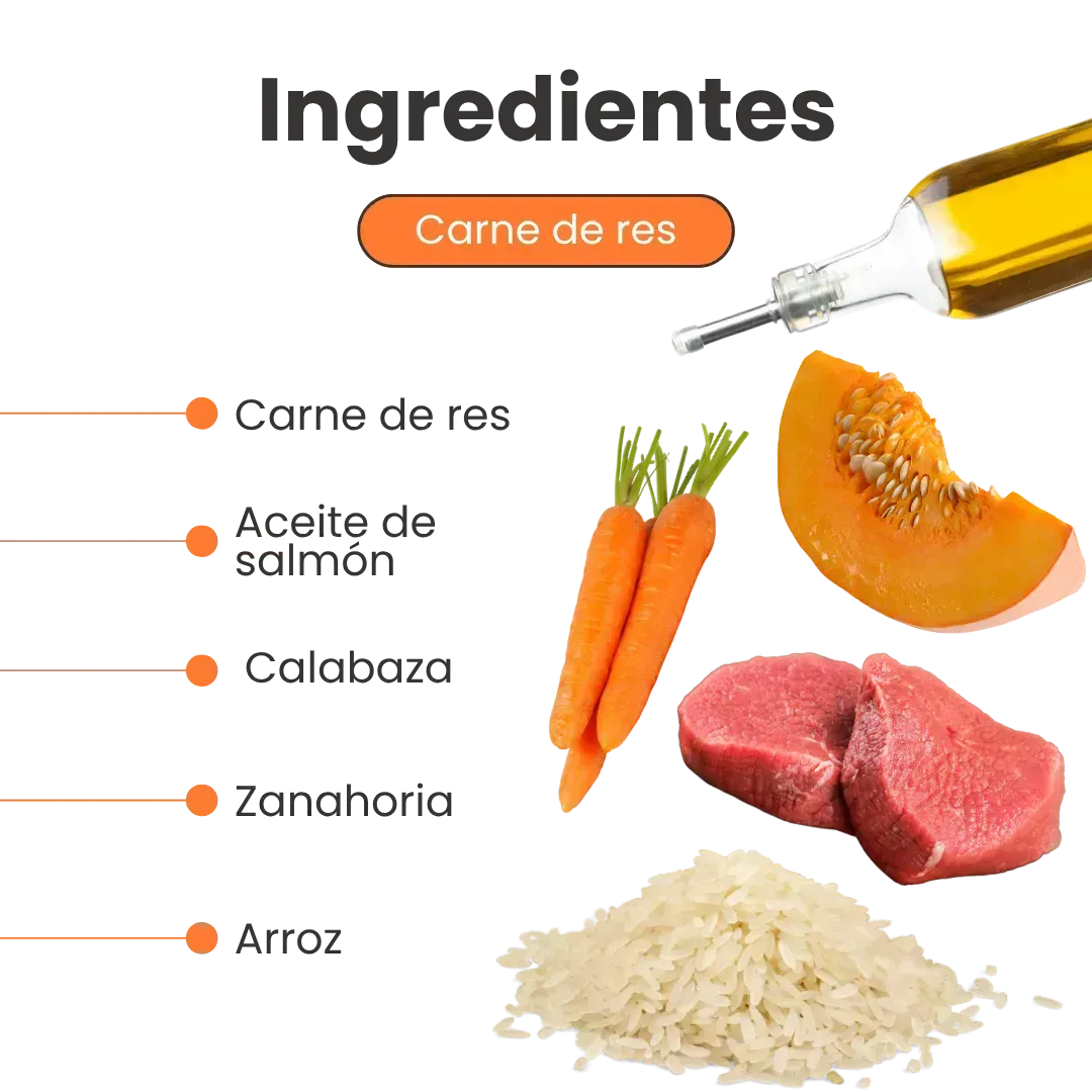 Alimento Húmedo Paté de Res Kanu Pet para Perros