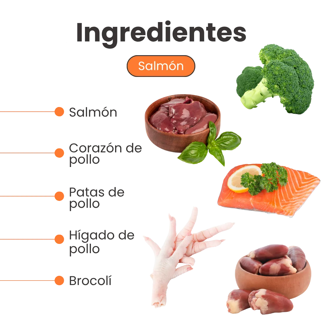 Alimento Húmedo Pate de Salmón Kanu Pet para Gatos