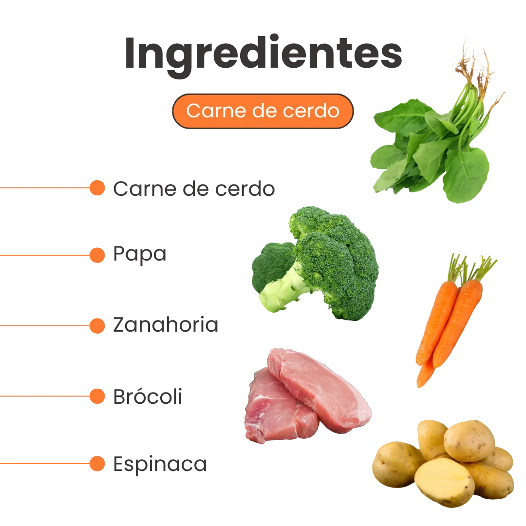 Alimento Húmedo Completo Chef's Recipe Carne de Cerdo Kanu Pet para perros