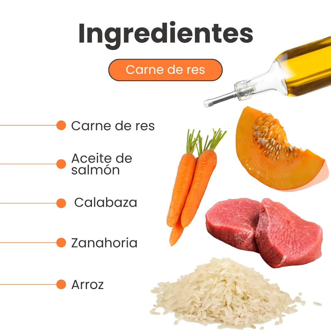 Alimento Húmedo Completo Chef's Recipe Carne de Res Kanu Pet para Perros