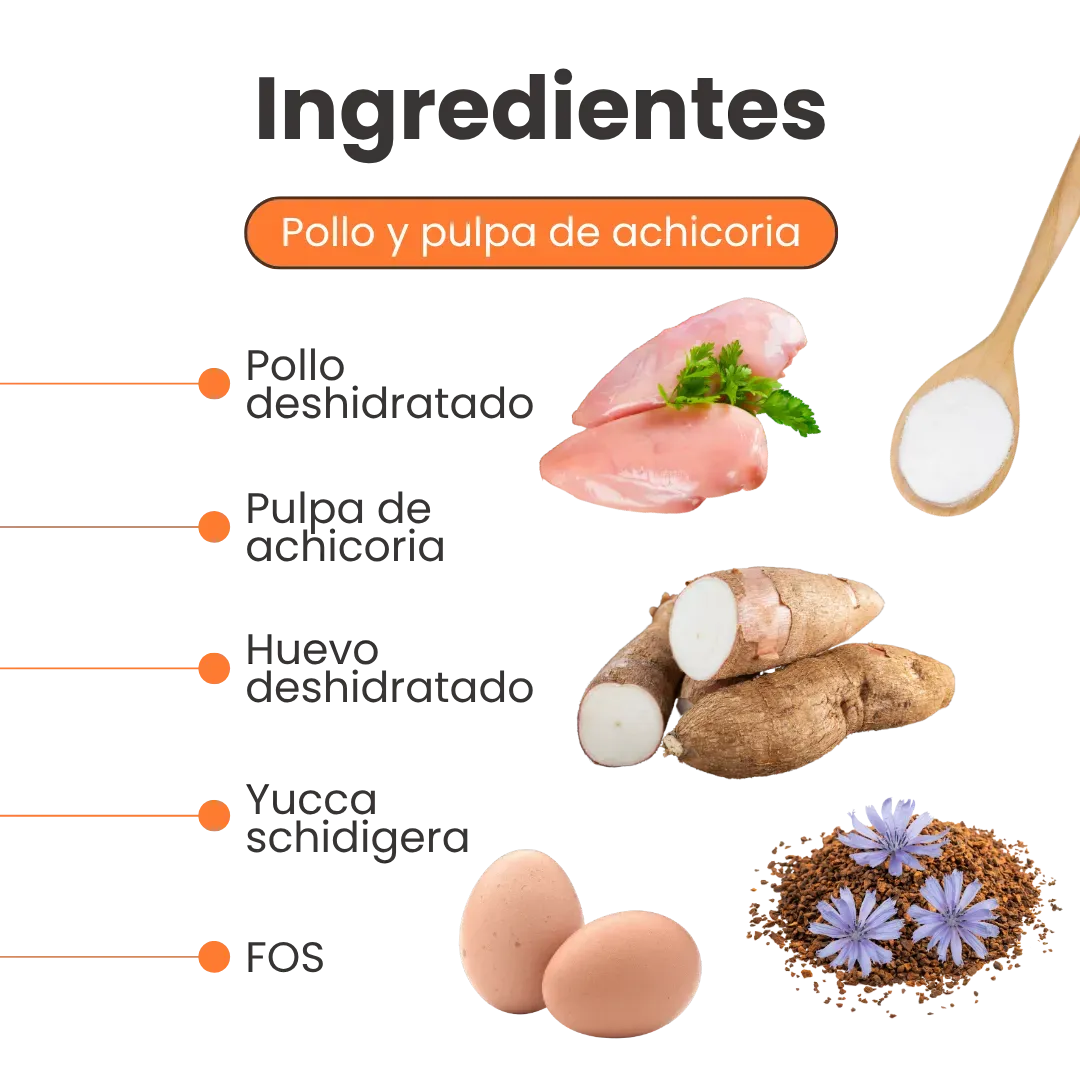 Alimento Medicado Seco Gastrointestinal Kanu Vet para Gato Adultos