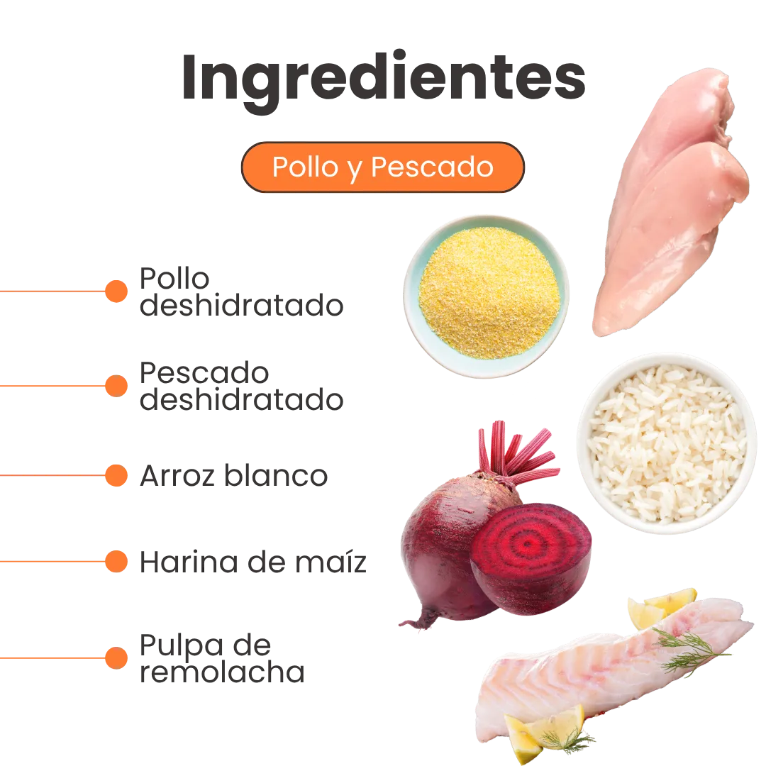 Alimento Seco Nativo Mantenimiento Kanu Pet para Gatitos