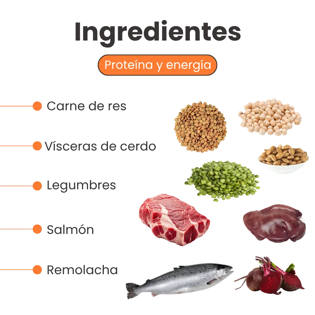 Alimento Seco Nativo Oven-Baked Carne / Cerdo / Salmón Kanu Pet para Perros Cachorros y Adultos