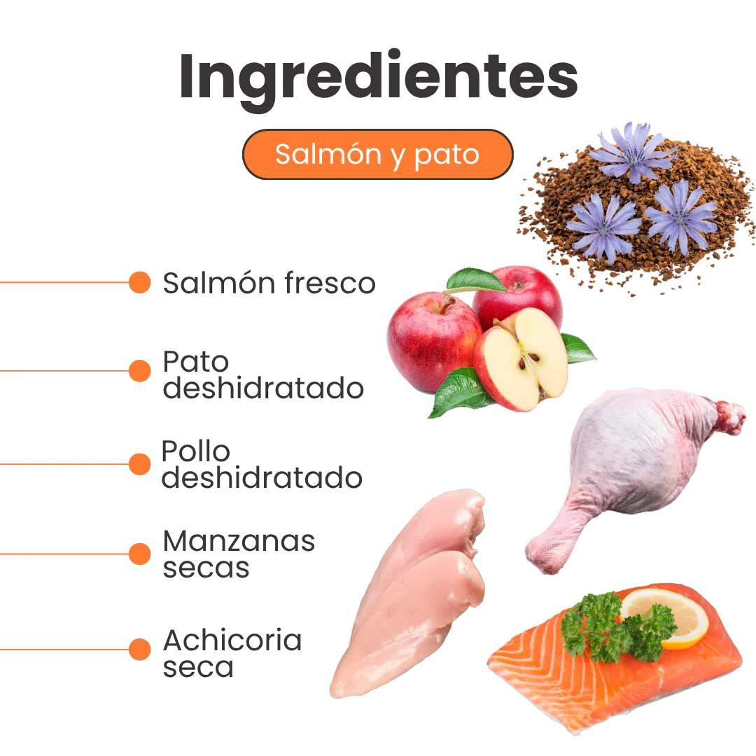 Alimento  Seco Nativo Bites Salmón Pato y Pollo Kanu Pet para Gato Adulto