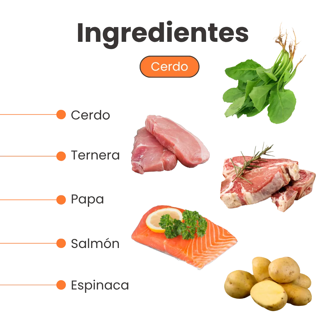 Alimento Húmedo Completo Chef's Recipe Kanu Pet para Perro Senior