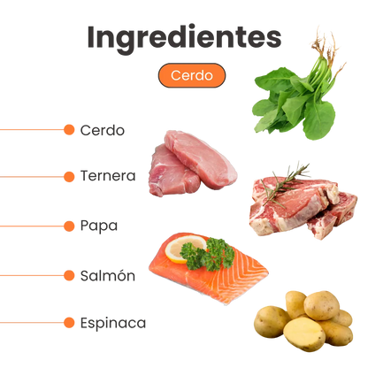 Alimento Húmedo Completo Chef's Recipe Kanu Pet para Perro Senior