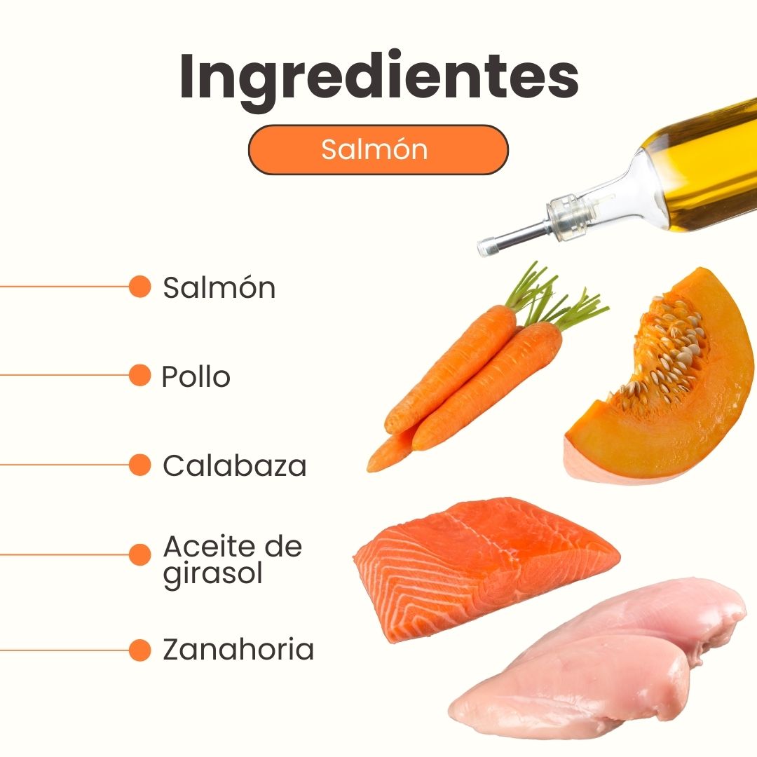 Alimento Completo Húmedo Chef's Recipe Salmón Kanu Pet   para Perros