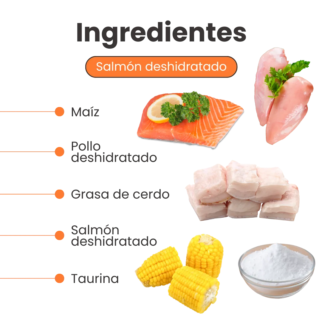 Snack Nuggets de Salmón Kanu Pet para Gato