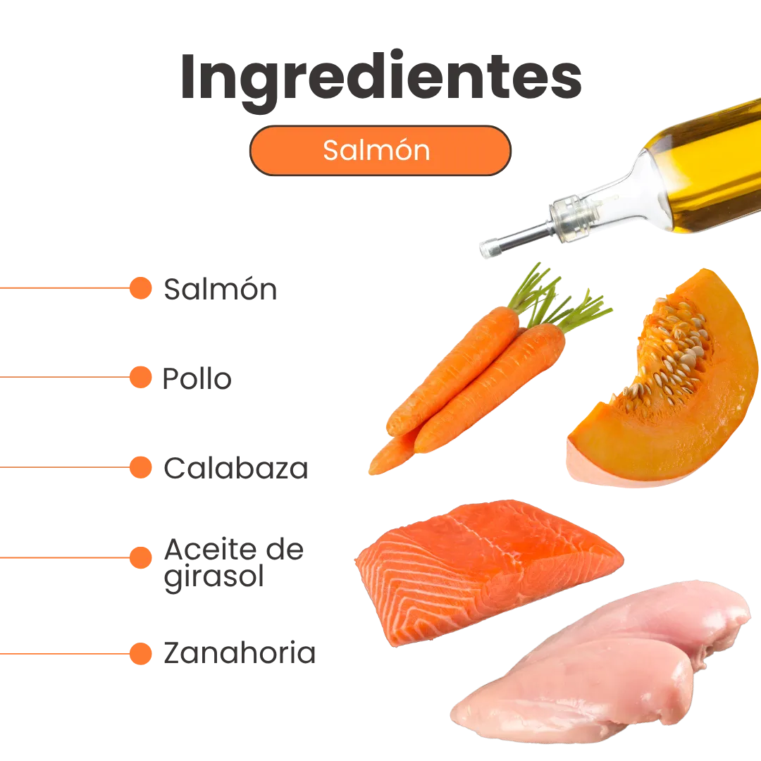 Alimento Húmedo Completo Chef's Recipe Salmón Kanu Pet para Perros