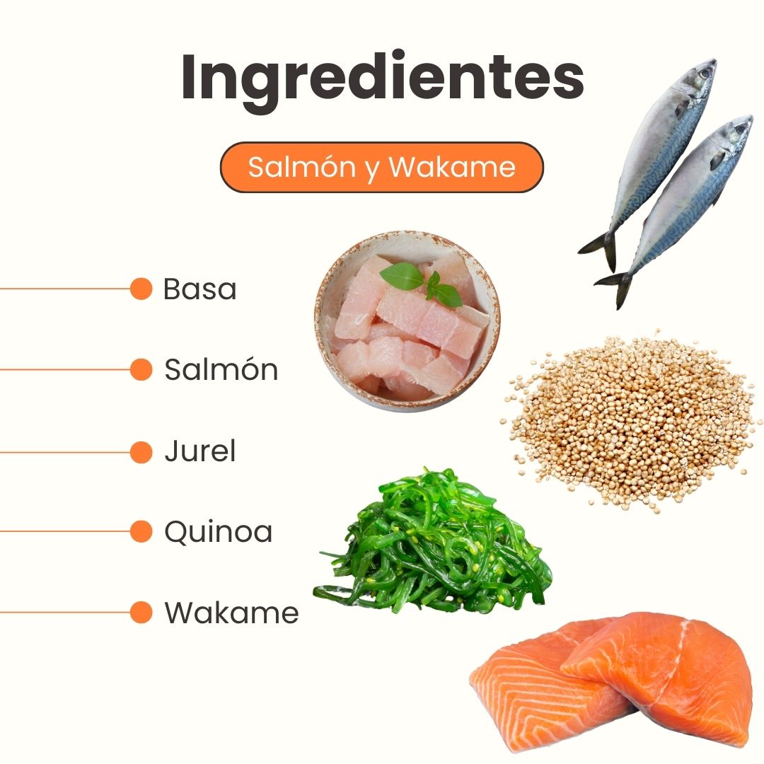 Alimento Congelado Receta Gourmet Basa de Kanu Pet Salmón sabor a Wakame para perros. 100% Comida Real