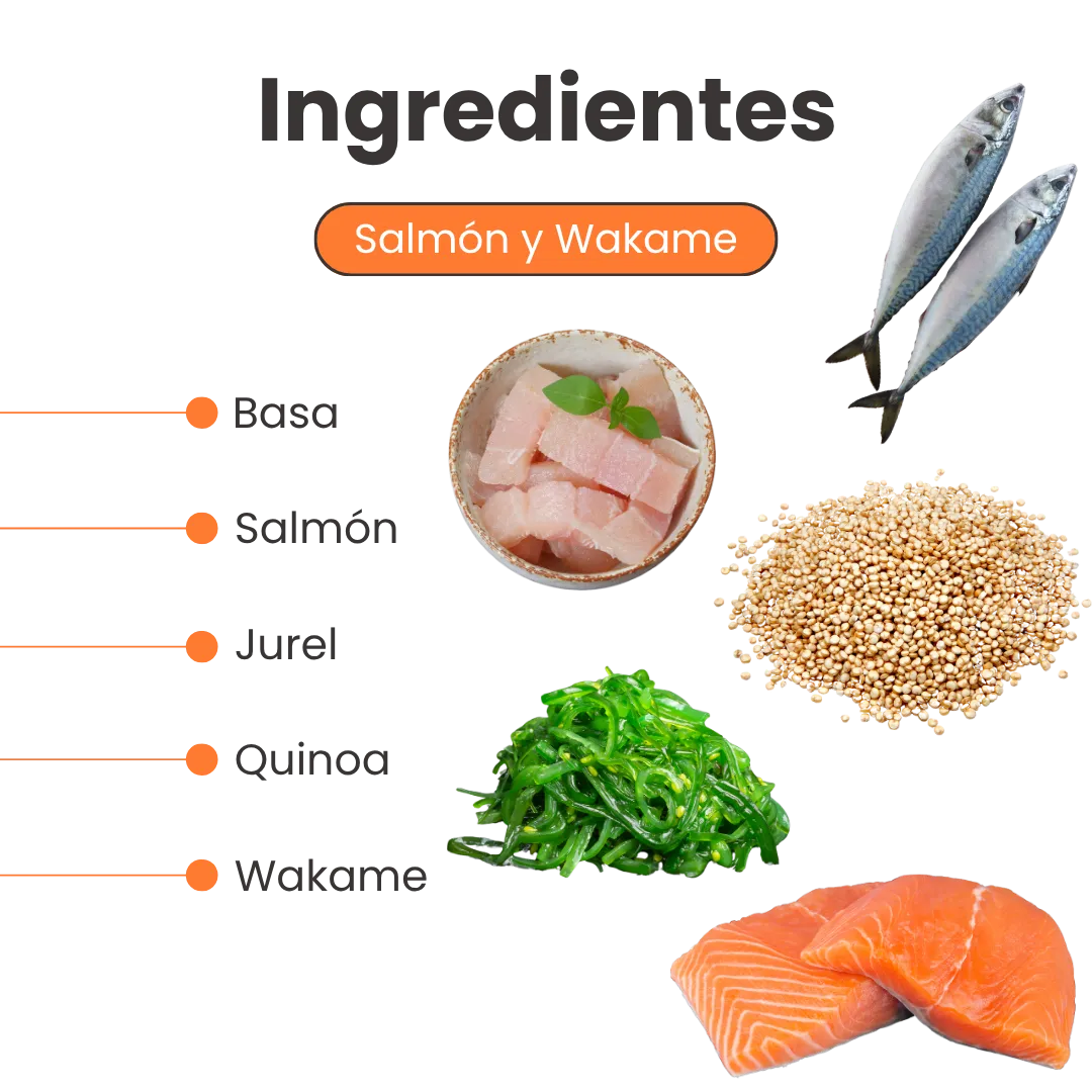 Alimento Congelado Nativo Fresh sabor a Salmón y Wakame Kanu Pet para Perros. 100% Comida Real