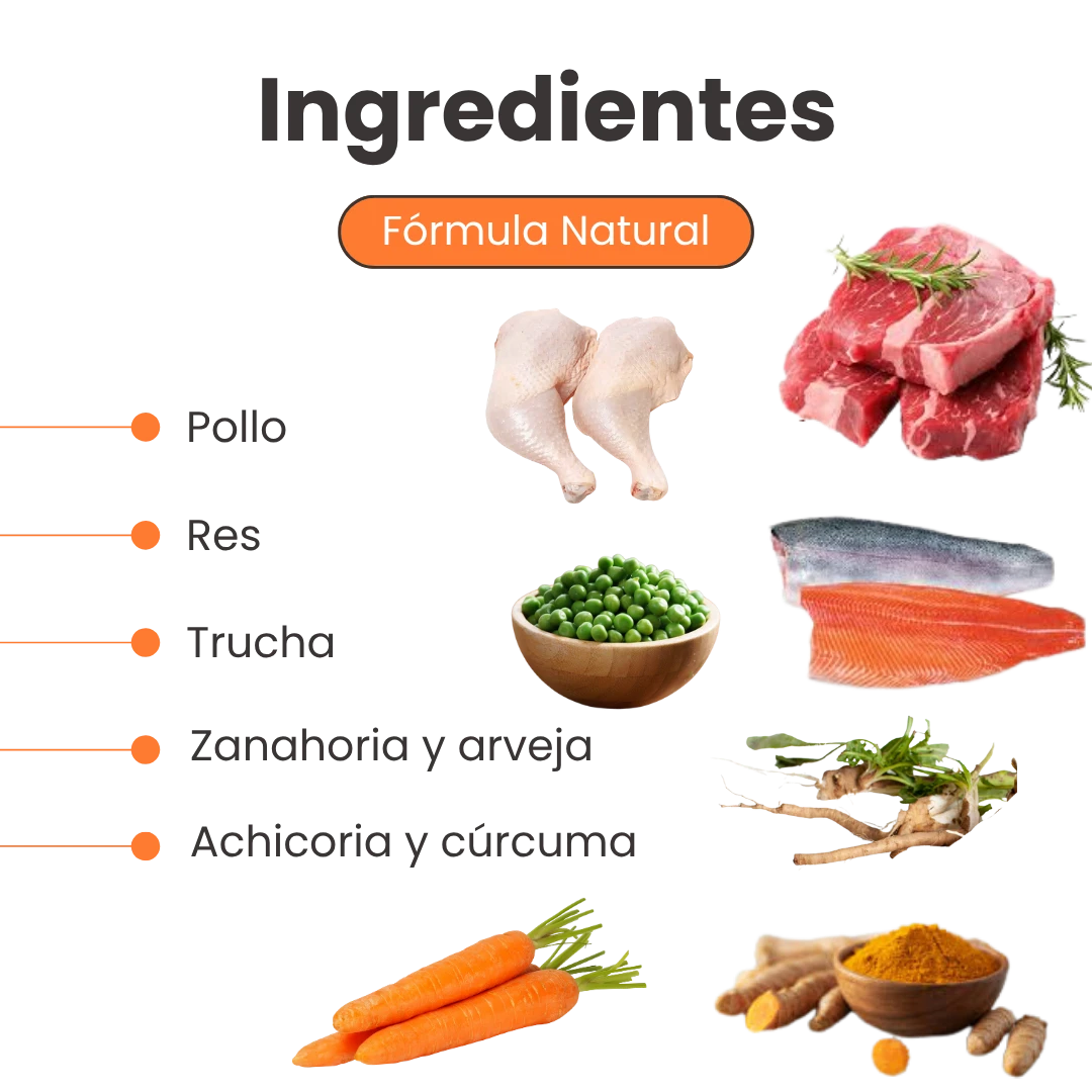 Alimento Húmedo Nativo Chef’s Recipe Yorkshire Terrier Kanu Pet para Perros