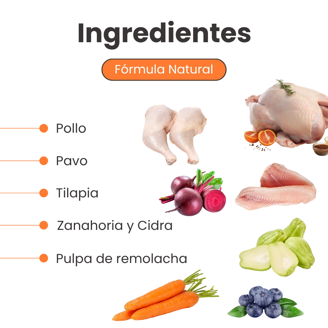Alimento Húmedo Nativo Chef’s Recipe Hairball Control Kanu Pet para Gatos