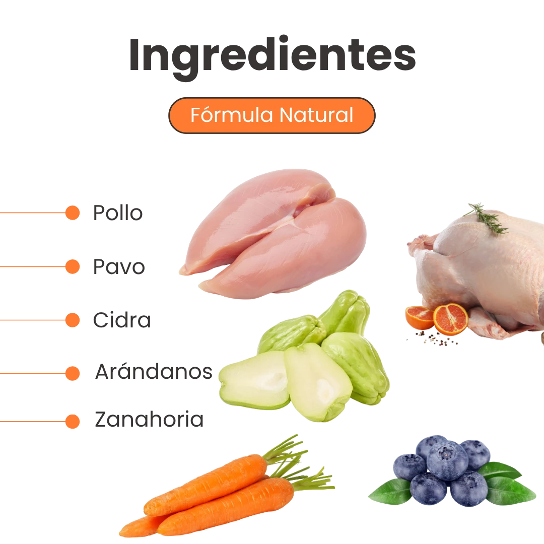 Alimento Húmedo Nativo Chef’s Recipe Senior Kanu Pet para Gatos