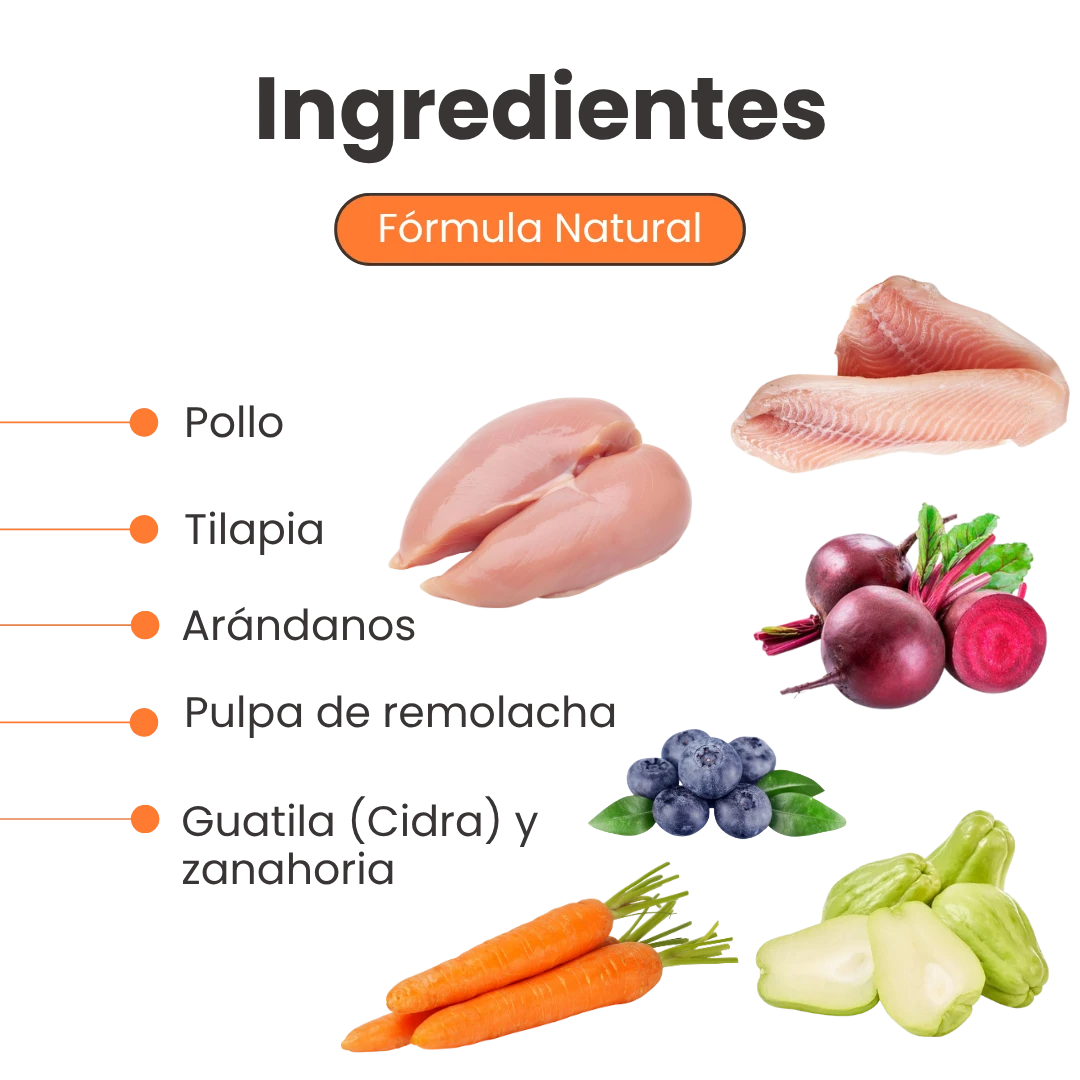 Alimento Húmedo Nativo Light Chef’s Recipe Kanu Pet para Gatos