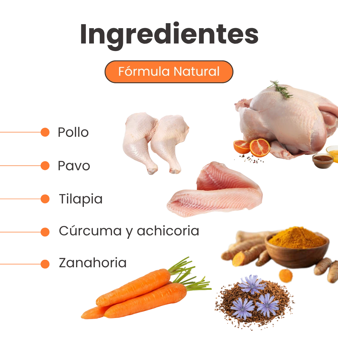 Alimento Húmedo Medicado Kanu Vet GastroIntestinal para Perros Adultos