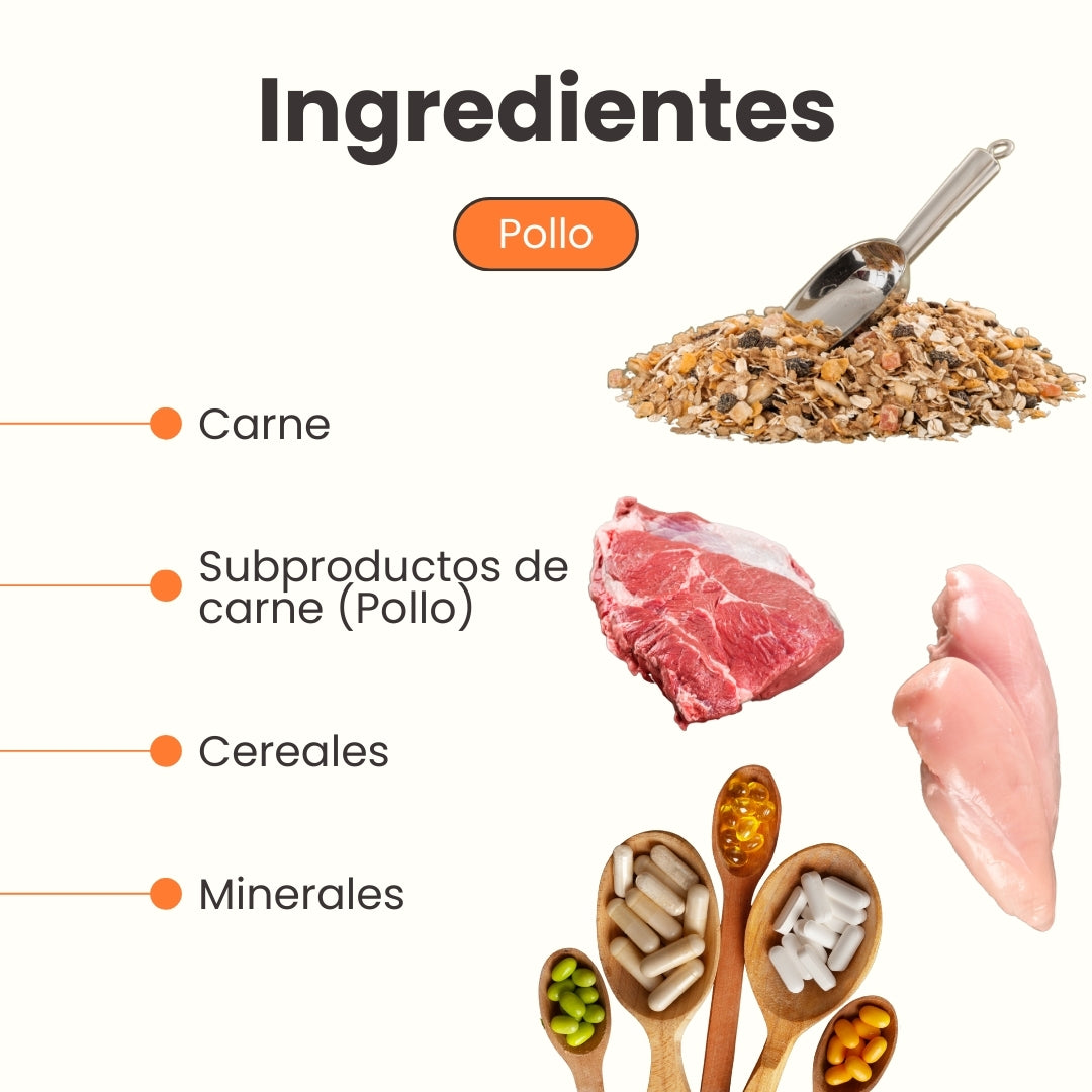 Alimento Húmedo de Pollo para Perro  Kanu Receta Con Pollo