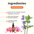 Hierba Gatuna Kanu Pet Catnip Bliss para Gato