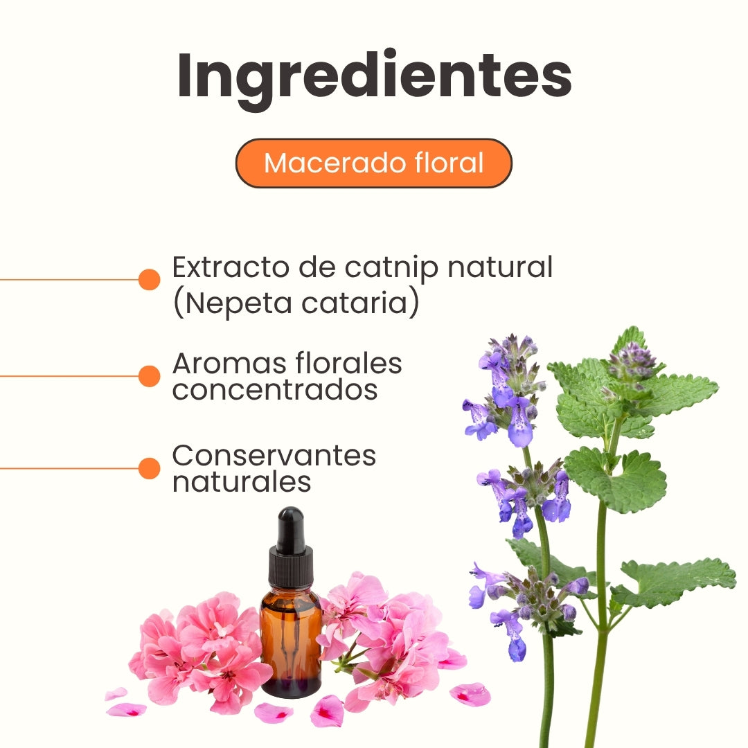 Hierba Gatuna Kanu Pet Catnip Bliss para Gato