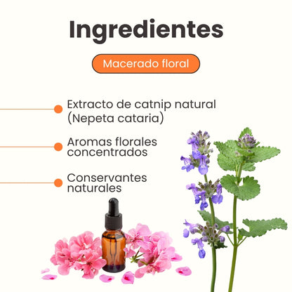 Hierba Gatuna Kanu Pet Catnip Bliss para Gato