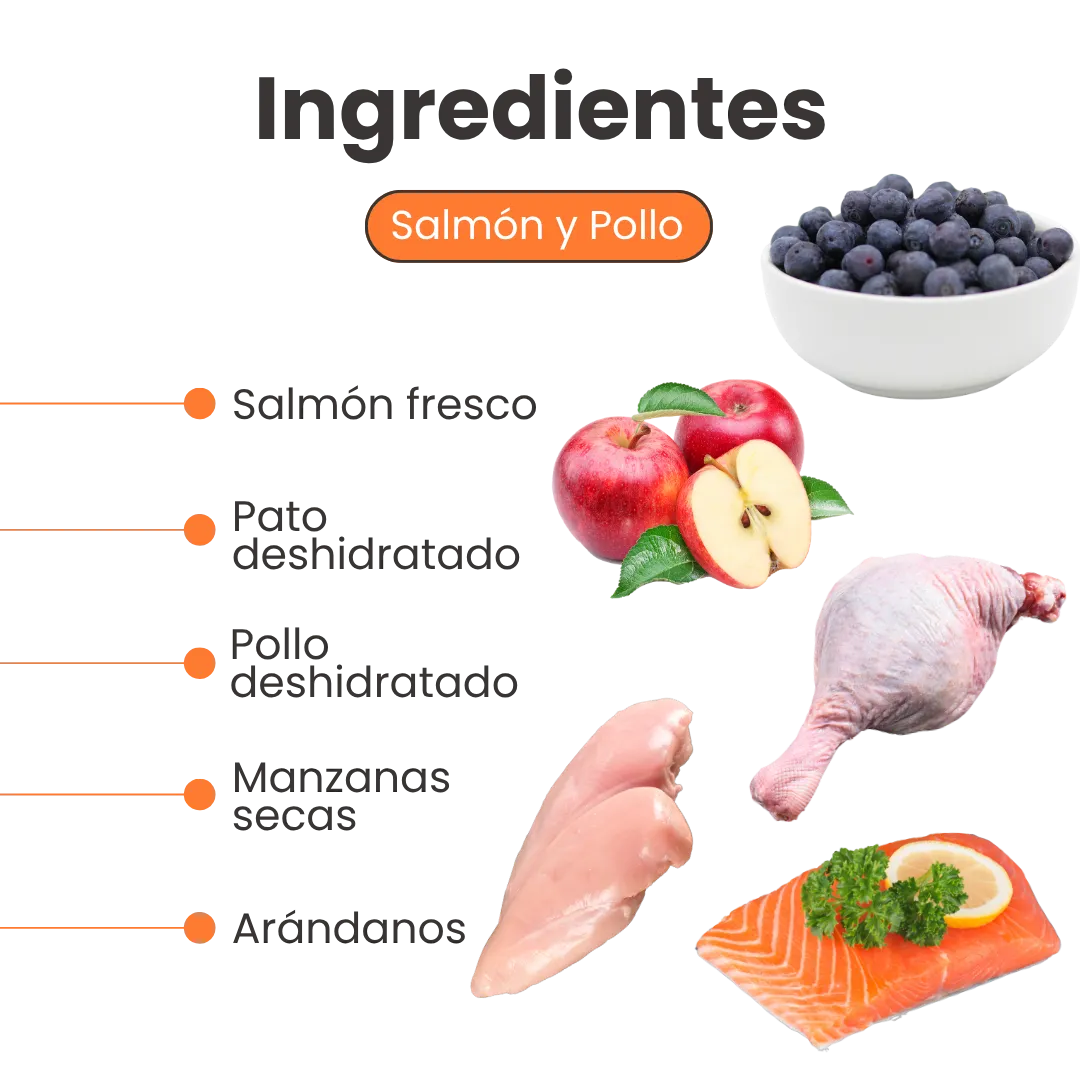 Alimento Seco Nativo Persian Kanu Pet para Gato Adulto