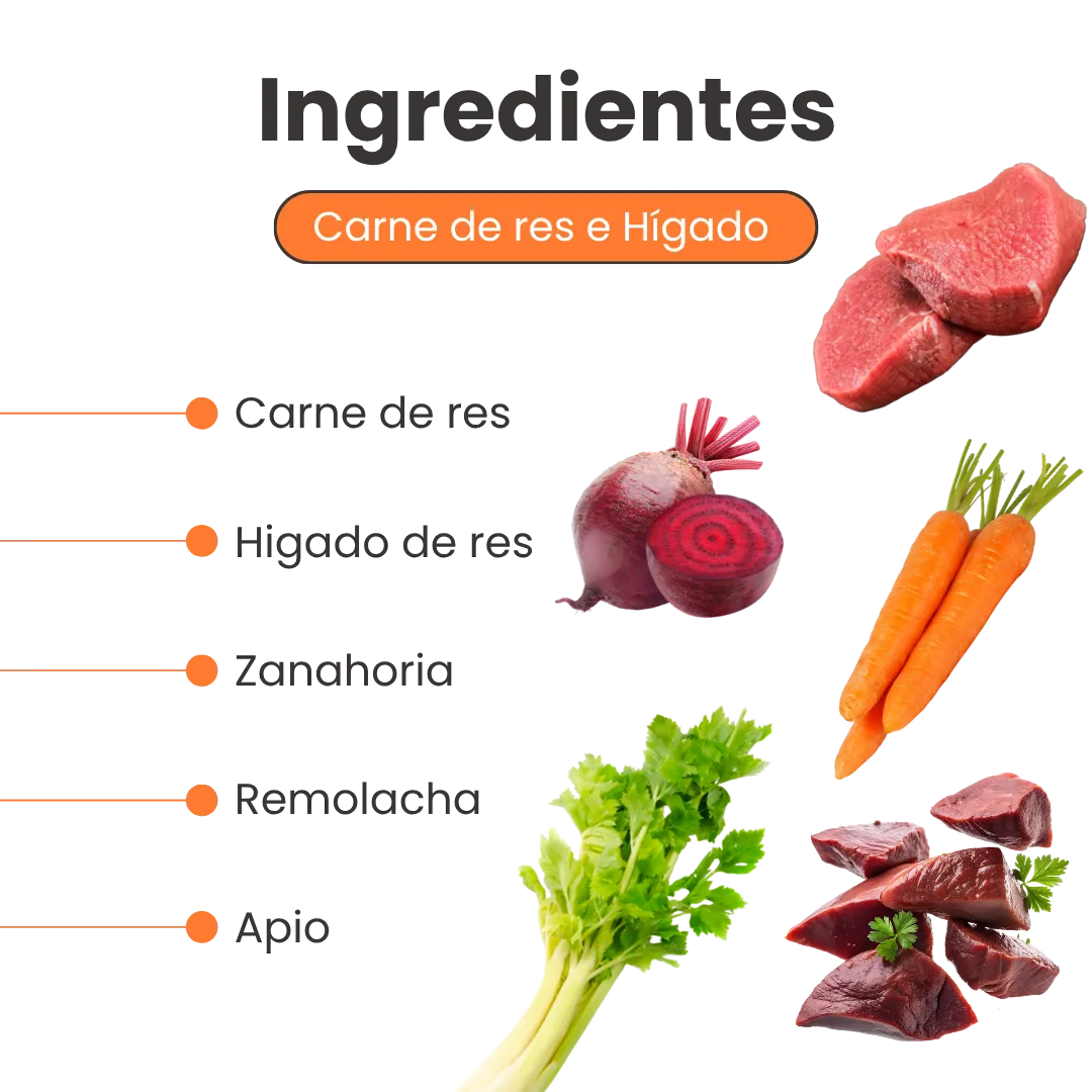 Alimento Congelado Nativo Fresh sabor a Carne de Res Hígado y Remolacha Kanu Pet para Perros 100% Comida Real