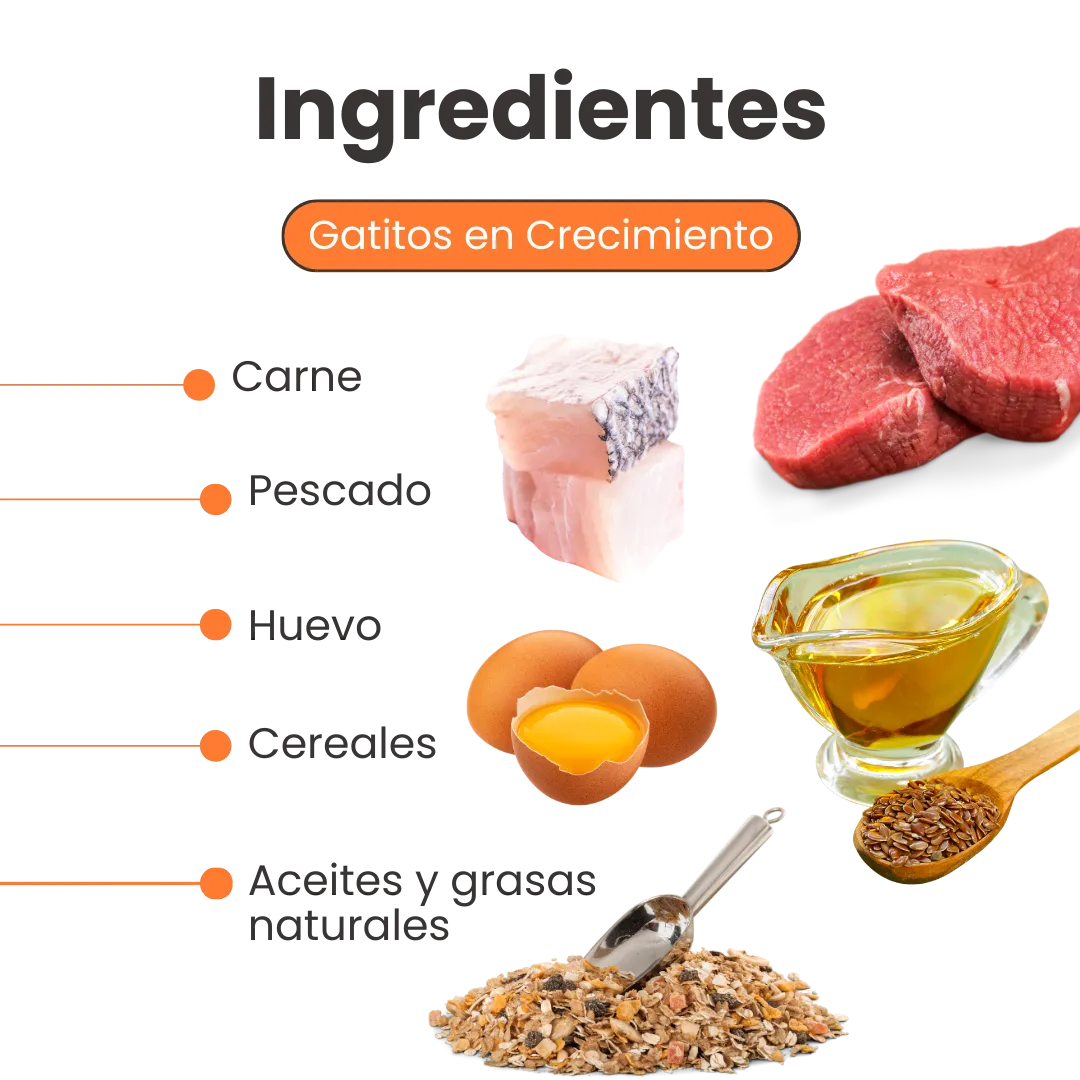 Galletas Blandas Kanu Pet Gatitos en Desarrollo y Apoyo al Crecimiento Muscular