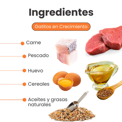 Galletas Blandas Kanu Pet Gatitos en Desarrollo y Apoyo al Crecimiento Muscular