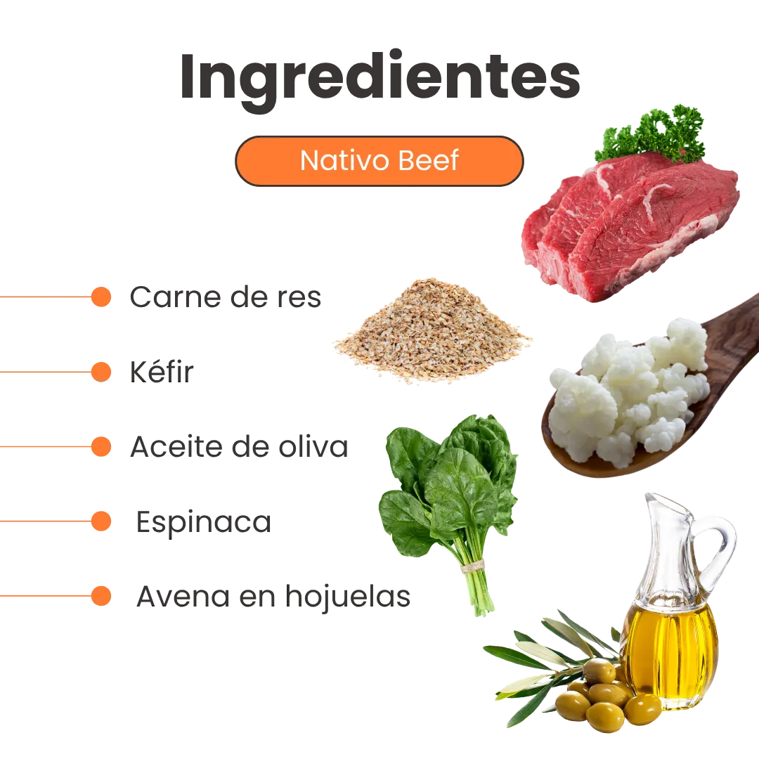 Alimento Húmedo Liofilizado Nativo Beef de Res Kanu Pet para Perro
